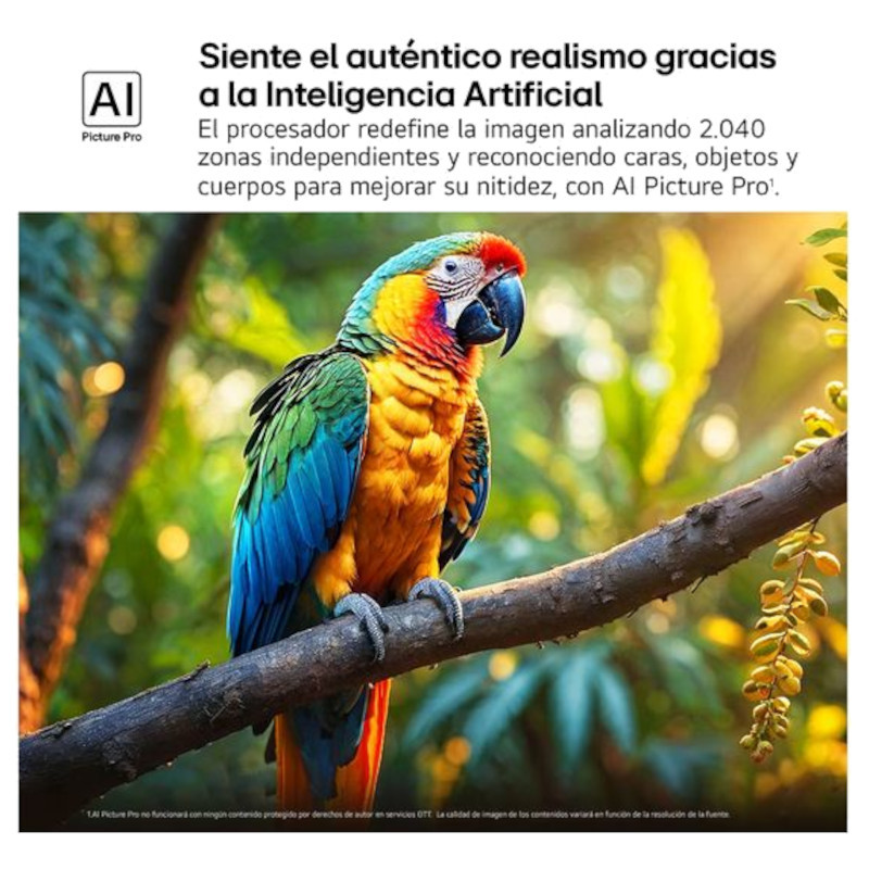 LG QNED evo AI 75QNED87A6B – 75″ 4K Ultra HD Mini LED Smart TV WiFi (Negro) - Imagen 7